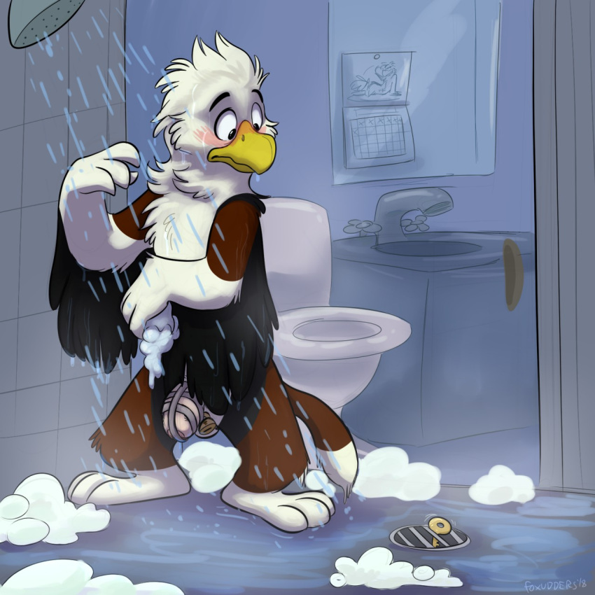 2018 3_toes 4_fingers accipitrid accipitriform anthro artist_name avian balls bathing bathroom beak bird black_wings blush brown_arms brown_legs brown_tail calendar_(object) chastity_cage chastity_device chastity_key digital_media_(artwork) dripping_water eagle feathered_wings feathers feet fingers fluffy fur genitals hi_res humanoid_genitalia humanoid_penis inside key key_disposal lock looking_at_object looking_down male neck_tuft nude orlandofox padlock penis permanent_chastity_device shower shower_drain shower_head showering sink soap_bubbles solo standing steam tail tile tile_wall toes toilet tuft wall_(structure) water_drop wet wet_body wet_fur white_body white_hands white_tail_tip wide_eyed wings worried worried_look