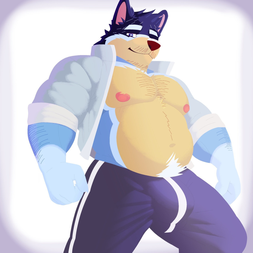 1boy 2023 2d anthro bandit_heeler bara blue_fur bluey_(series) bluey_(show) bulge bulge_through_clothing canine chest chest_hair dad_bod daddy dilf exposed_breasts facial_hair furry furry_only hi_res highres looking_down male male_only muscular muscular_anthro muscular_male pants solo solo_focus solo_male sweatpants trousers veljko