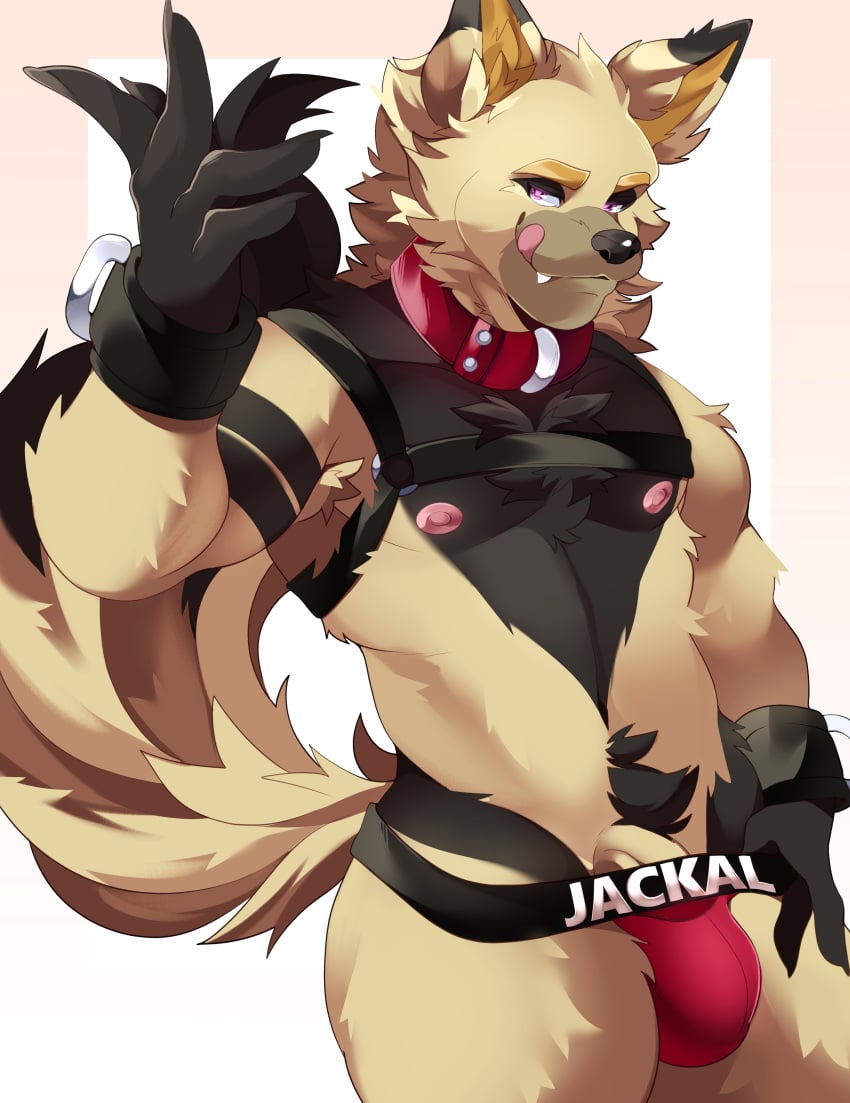 absurd_res anthro anubian_jackal bulge canid canine canis clothing cocky collar erection genitals hi_res jackal jock jockstrap male mammal markings paws penis penis_base pose pubes smile smirk solarum solo underwear vein veiny_penis