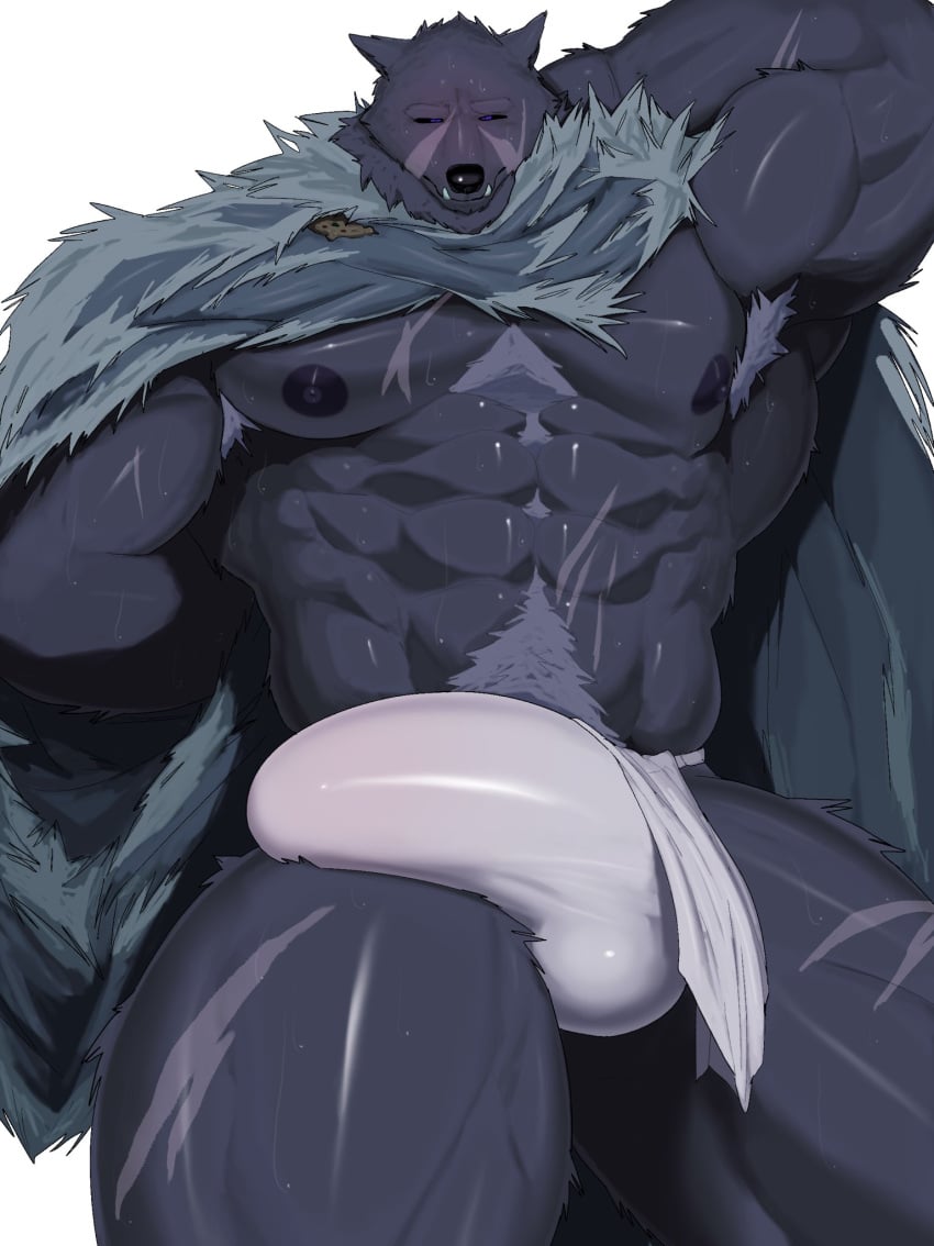 abs anthro armpit_hair blaidd_(elden_ring) blep body_hair bottomwear bulge canid canine canis cape clothed clothing detailed_bulge elden_ring facial_scar fangs fromsoftware fur fur_cape genital_outline grey_body grey_fur hi_res loincloth male male_only mammal muscular muscular_anthro muscular_arms muscular_legs muscular_male mymu666 nipples pecs penis_outline purple_eyes raised_arm scar serratus solo teeth tongue tongue_out underwear vo7gu46xduh36 wolf