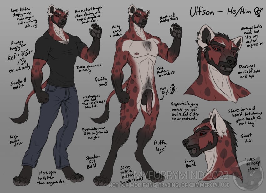 5_fingers anthro balls biped claws clothed clothing countershade_fur countershade_neck countershade_torso countershading english_text fingers fur genitals hi_res hyena male mammal model_sheet myfurrymind penis solo tail text ulfson_(myfurrymind)