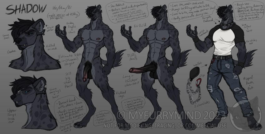 5_fingers anthro balls biped clothed clothing countershade_fur countershade_neck countershade_torso countershading ear_piercing english_text erection fingers fur genitals hair hi_res hyena male mammal model_sheet myfurrymind notched_ear penis piercing shadow_(myfurrymind) solo tail text