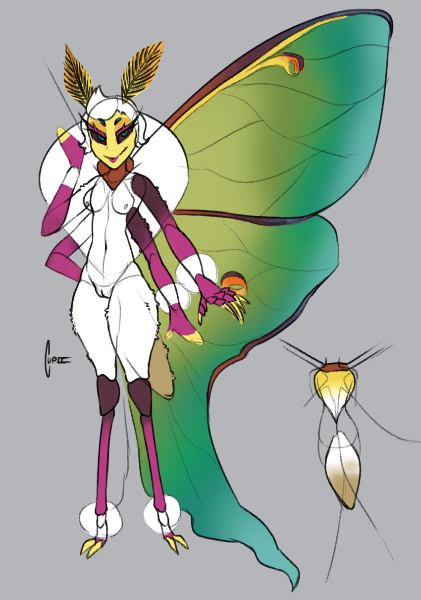 antennae_(anatomy) anthro arthropod breasts cupic female fur_collar fuzzy hi_res multi_arm multi_limb small_breasts solo white_body wings