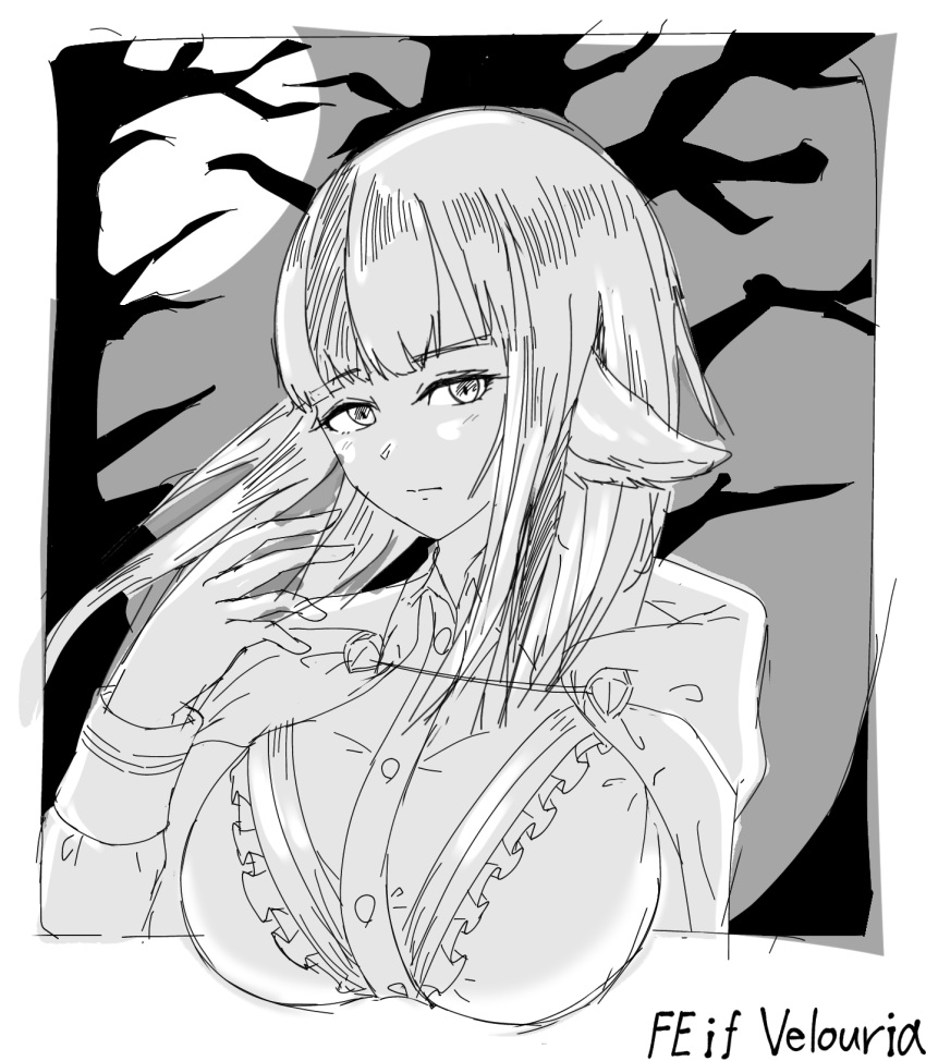 cat_neko_cat1 fire_emblem fire_emblem_fates hair_streak large_breasts monochrome night nintendo tagme velouria_(fire_emblem) wolf_ears wolf_girl