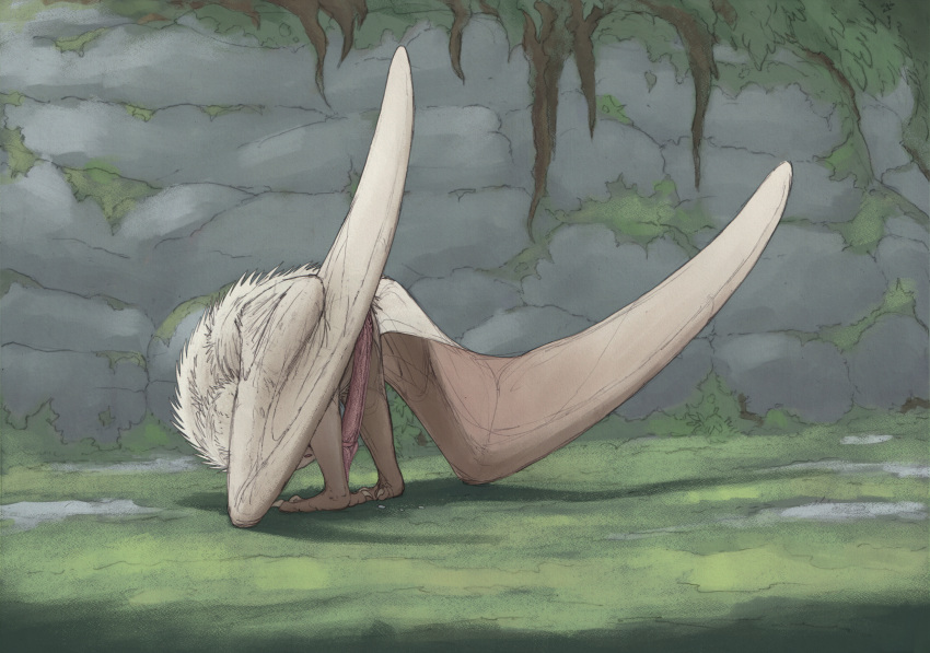 1boy 3_toes absurd_res all_fours anus bent_over big_penis bodily_fluids claws cum detailed_background digital_media_(artwork) dragon erection feathered_wyvern feathers feet feral genital_fluids genitals graphite_(artwork) grass hi_res humanoid_genitalia licking long_penis male masturbation membrane_(anatomy) membranous_wings mixed_media moss oral outside penile penis penis_lick plant rock roots self_lick shadow side_view solo solo_male tailless toes tongue tongue_out traditional_media_(artwork) white_body white_feathers wings wyvern zw3