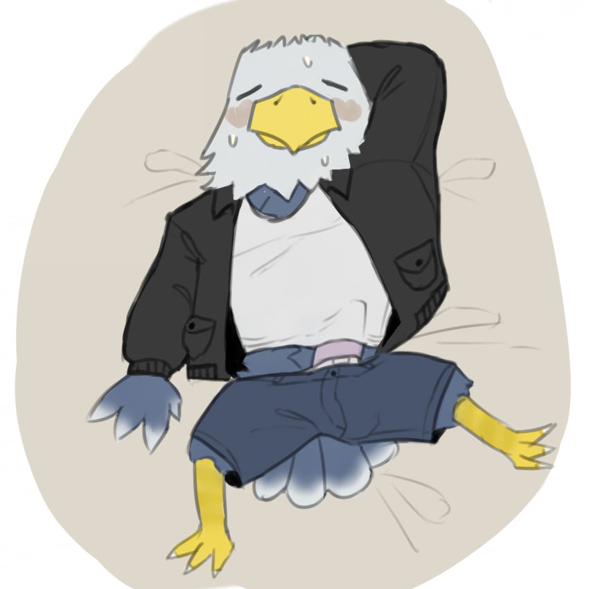 accipitrid accipitriform animal_crossing anthro apollo_(animal_crossing) avian bald_eagle bird blush bodily_fluids bulge clothed clothing eagle erection erection_under_clothing feathers genitals hands_behind_head hi_res jacket leather leather_clothing leather_jacket leather_topwear lucusfox male mature_male nintendo penis sea_eagle shirt solo sweat tank_top tired topwear underwear