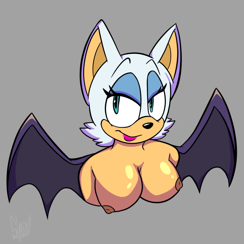 absurd_res anthro bat breasts exposed_breasts female hi_res mammal medium_breasts mobian_bat rouge_the_bat sega shadydaone solo solo_focus sonic_(series) sonic_the_hedgehog_(series)