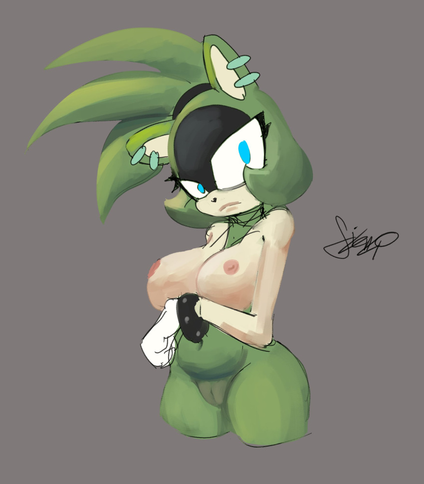 belly big_breasts blue_eyes breasts furry gloves green_fur nude_female ponytail pussy sega silencioarthub sonic_(series) surge_the_tenrec