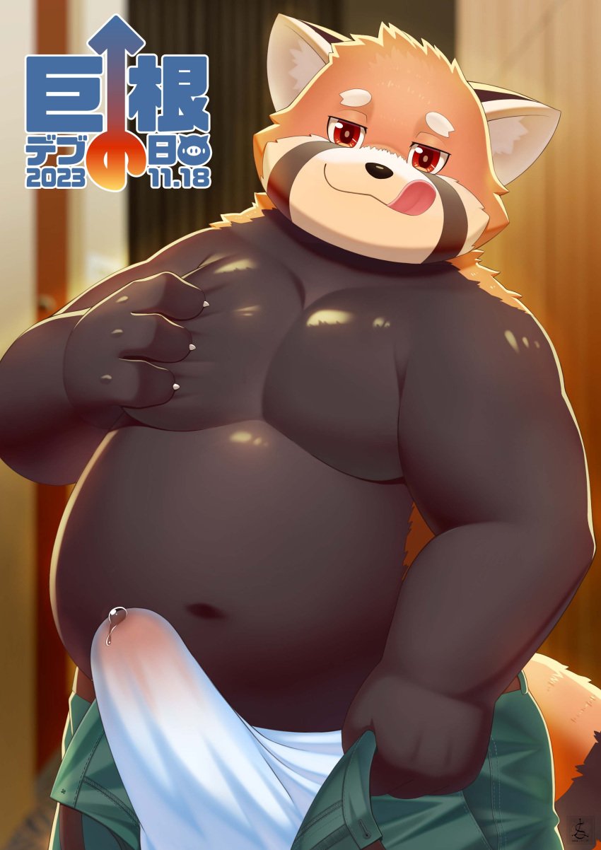 2023 absurd_res ailurid anthro belly big_dick_day black_body bodily_fluids bulge clothed clothing erection erection_under_clothing genital_fluids genital_outline hi_res japanese_text kemono male mammal moobs navel overweight overweight_male penis_outline precum red_panda siaoluo solo text tongue tongue_out underwear