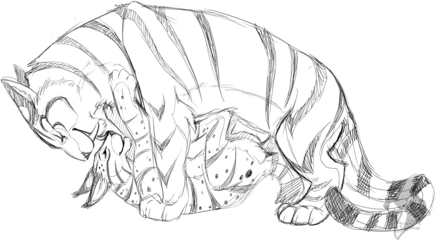 feline female feral lynx male sex sketchkat tiger tiggie tiggief