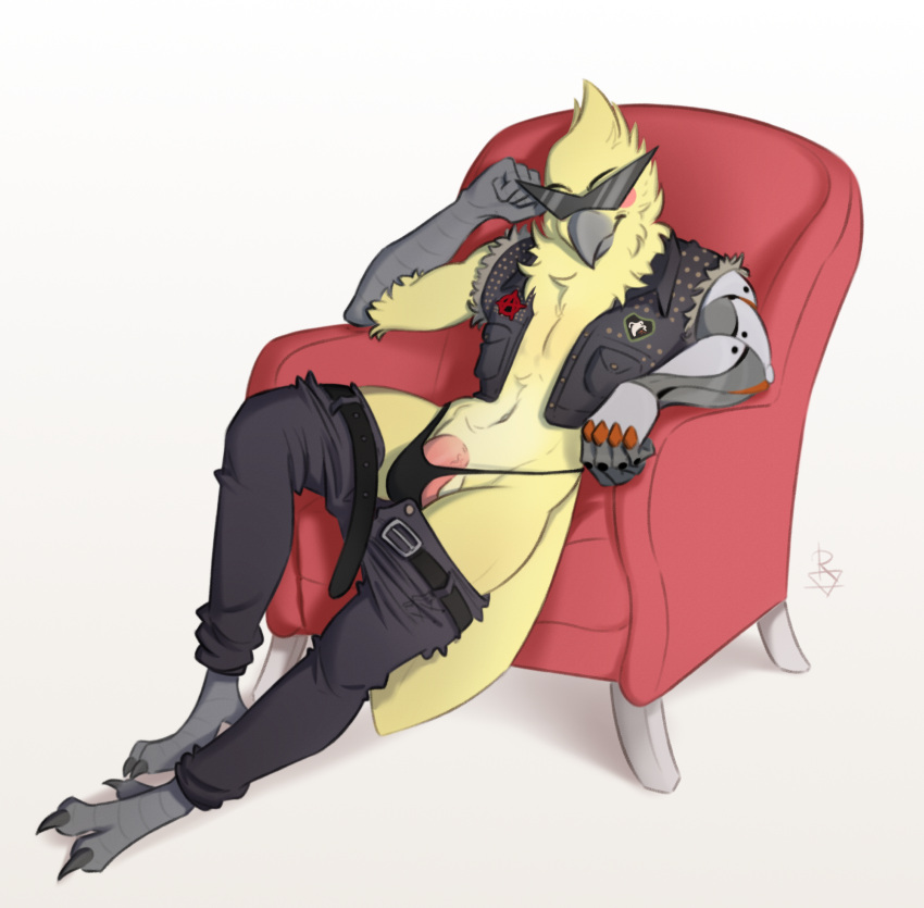 absurd_res anthro arrk avian balls bird bottomwear bottomwear_down bulge chair clothed clothing cockatiel cockatoo cybernetic_arm cybernetic_limb eyewear furniture genitals hi_res looking_at_viewer male on_chair pants pants_down parakeet parrot partially_clothed penis renhard sitting sitting_on_chair solo sunglasses thong topwear true_parrot underwear vest