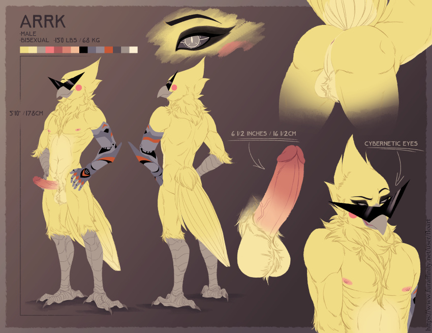 absurd_res anthro anus arrk ass avian balls bird cockatiel cockatoo cybernetic_arm cybernetic_eye cybernetic_limb eyewear floart genitals hi_res male model_sheet nude parakeet parrot penis presenting presenting_hindquarters pubes solo sunglasses true_parrot