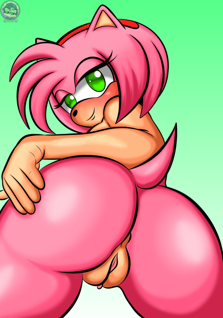 absurd_res accessory amy_rose anthro anus ass breasts brush brushing butt_grab eulipotyphlan female fur genitals green_eyes hair hair_accessory hand_on_butt hedgehog hi_res looking_at_viewer looking_back looking_back_at_viewer mammal nude pink_body pink_fur pink_hair pussy sega sirjzau solo sonic_(series) sonic_the_hedgehog_(series)