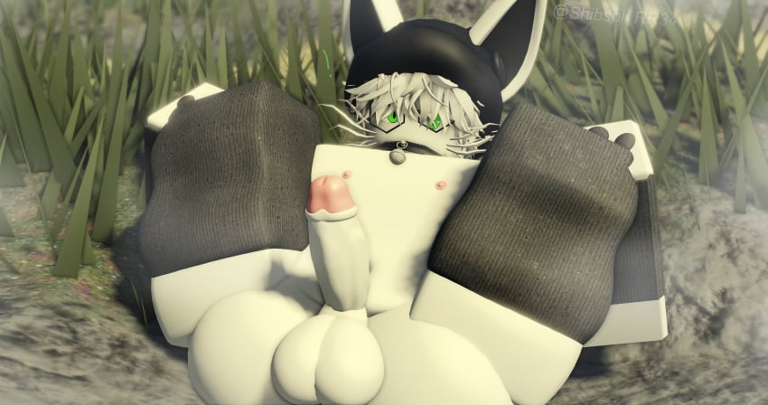 1boy 3d 7socks :3 arctic_fox aroused beanie beanie_hat bell_collar belly belly_button boner collar confused elixir_(roblox) exclamation_mark femboy flat_chest fox fox_ears gay gay_male gloves grass grass_field green_eyes hair hat neko no_panties no_pants paws penis roblox rock shibsol_rr34 shy small_penis spread_legs tagme thighhighs thighs warmers whiskers white_body white_fur white_hair white_skin