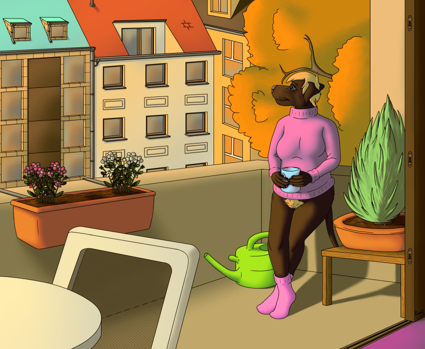 2022 absurd_res anthro autumn balcony bird_dog blonde_hair blonde_pubes bottomless bottomless_female brown_body brown_fur canid canine canis casual_nudity city clothed clothing domestic_dog female footwear fur hair hi_res hunting_dog kinaj labrador leaf mammal marie_(kinaj) mug nonsexual_nudity plant plant_pot pubes retriever socks solo sweater topwear watering_can yellow_leaves