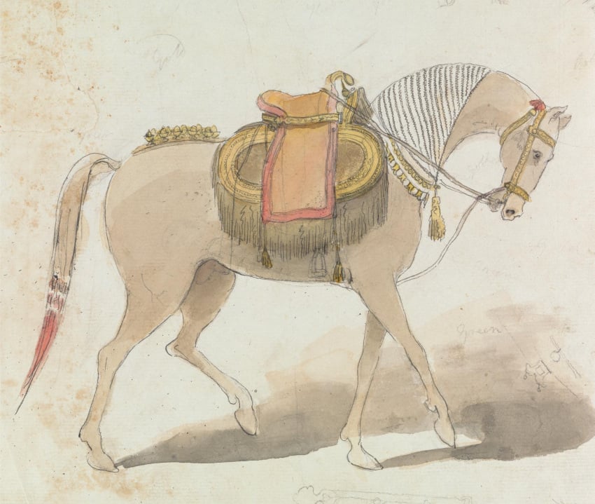 18th_century anatomically_correct anatomically_correct_genitalia anatomically_correct_penis ancient_art animal_genitalia animal_penis bridle brown_body brown_fur equid equine equine_genitalia equine_penis fashion_saddle feral formal_art fully_sheathed fur gangaram_chintaman_tambat genitals halter hi_res hooves horse male mammal painting_(artwork) penis public_domain saddle saddle_blanket shaded sheath side_view simple_background snout solo tail traditional_media_(artwork) walking watercolor_(artwork) white_background