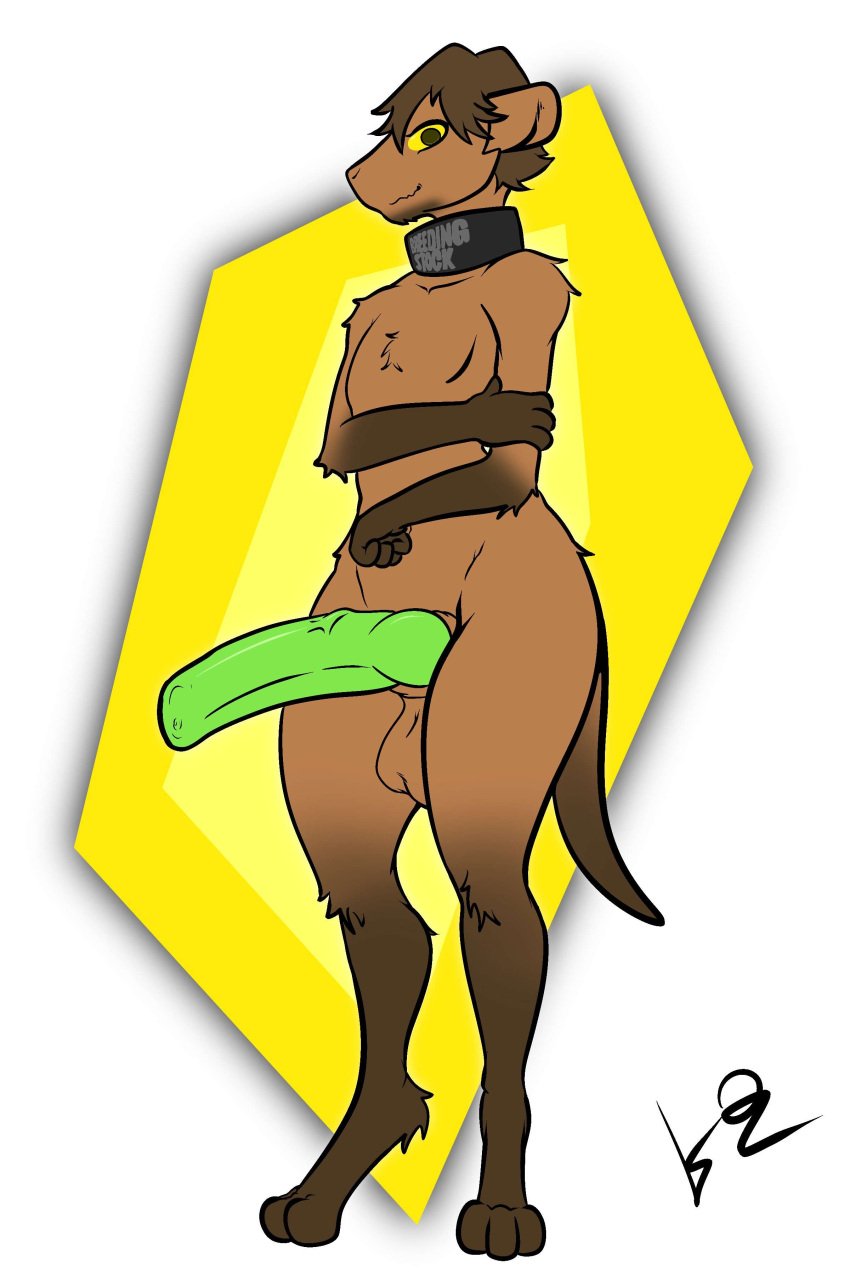 absurd_res anthro big_penis collar femboy genitals green_penis hair hi_res huge_cock hung_trap kennedy_oz lexxa_(killsode) looking_at_viewer male mammal marsupial penis solo the_nature_of_predators yellow_eyes yotul_(the_nature_of_predators)