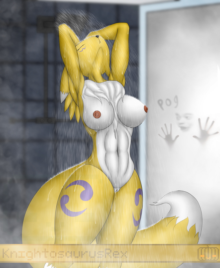 absurd_res anthro areola bandai_namco bathing breasts digimon digimon_(species) female genitals hi_res knightosaurusrex medium_breasts nipples nude peeping pussy renamon shower showering solo spying wet wet_body