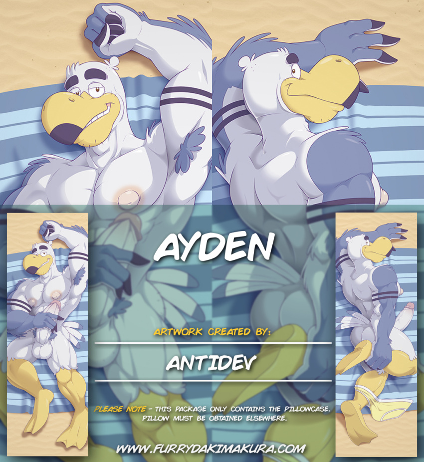 2023 anthro anti_dev armpit_hair ass avian ayden_(brogulls) balls beach beak bedroom_eyes big_penis bird body_hair briefs briefs_down clothing dakimakura_design dakimakura_pose erection eyebrows facial_hair feathers feet foot_grab genitals gull hi_res lari larid looking_at_viewer lying male muscular muscular_anthro muscular_male narrowed_eyes nipples nude nude_male on_back penis penis_grab pubes sand seaside seductive smile solo tail_feathers thick_eyebrows towel underwear