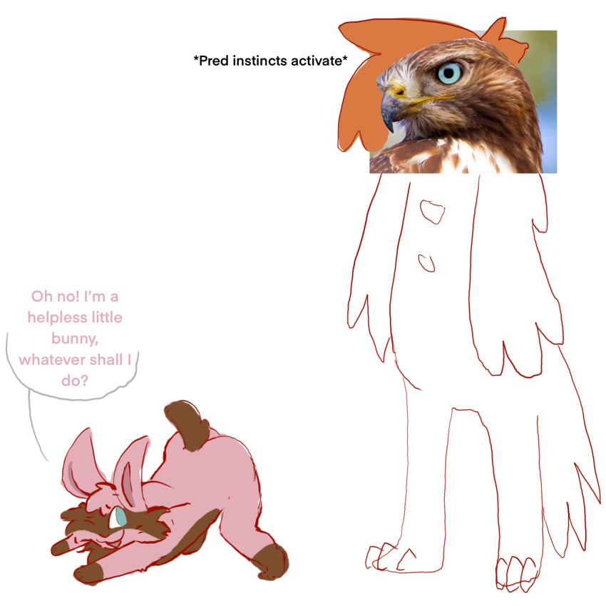 accipitrid accipitriform anthro ass avian bird female hi_res imminent_sex lagomorph leporid male male/female mammal meme predator/prey presenting rabbit skellyroon submissive submissive_female