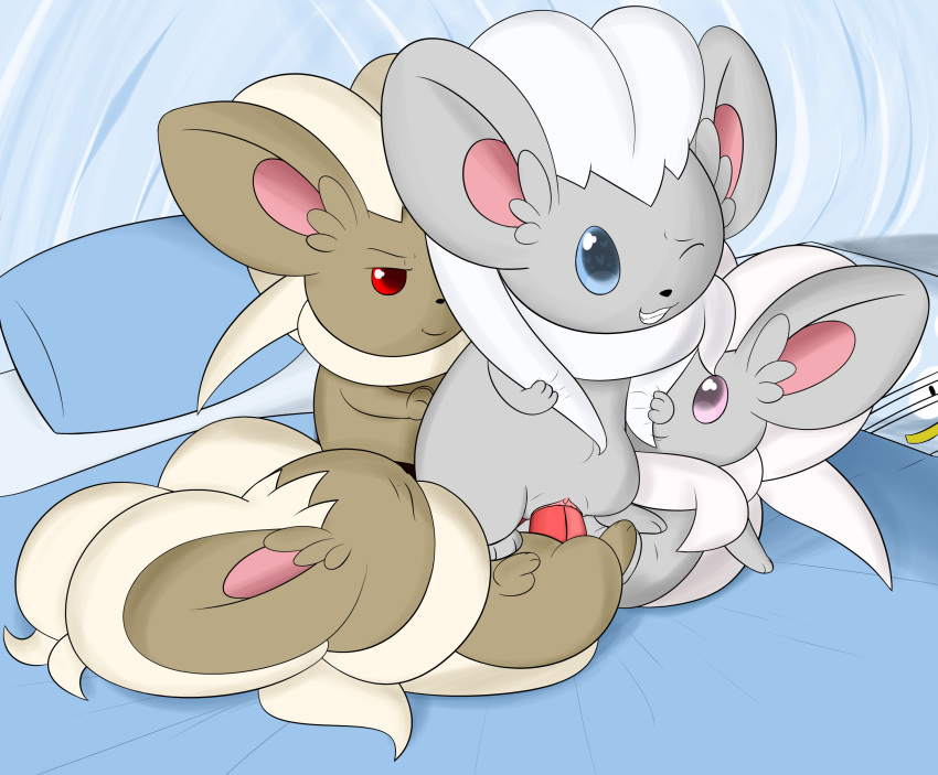 chinchilla cinccino foursome fur furry group_sex pokémon_(species) pokemon pussy shiny_cinccino shiny_pokemon tagme vaginal_penetration yiff yumei