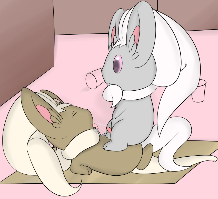 chinchilla cinccino fur furry pokémon_(species) pokemon shiny_cinccino shiny_pokemon tagme yiff yumei