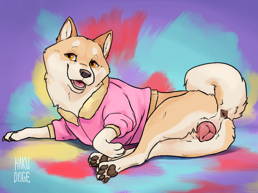 anatomically_correct anatomically_correct_genitalia anatomically_correct_pussy animal_genitalia animal_pussy anus canid canine canine_genitalia canine_pussy canis clothed clothed_feral clothing curled_tail domestic_dog female feral fur genitals hakudoge hi_res jacket mammal open_mouth orange_eyes panama_(hakudoge) pawpads paws pink_pussy pussy shiba_inu smile solo spitz tail tan_body tan_fur topwear