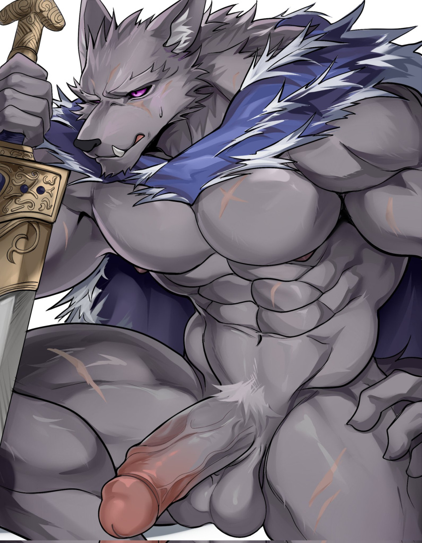 abs anthro balls barazoku blaidd_(elden_ring) bodily_fluids canid canine canis chung0_0 cloak_only elden_ring erection fangs fromsoftware fur furry genitals greatsword grey_body grey_fur hi_res humanoid_genitalia humanoid_penis male male_only mammal mostly_nude muscular muscular_anthro muscular_male penis pubes purple_eyes scar solo sweat sweatdrop teeth wolf