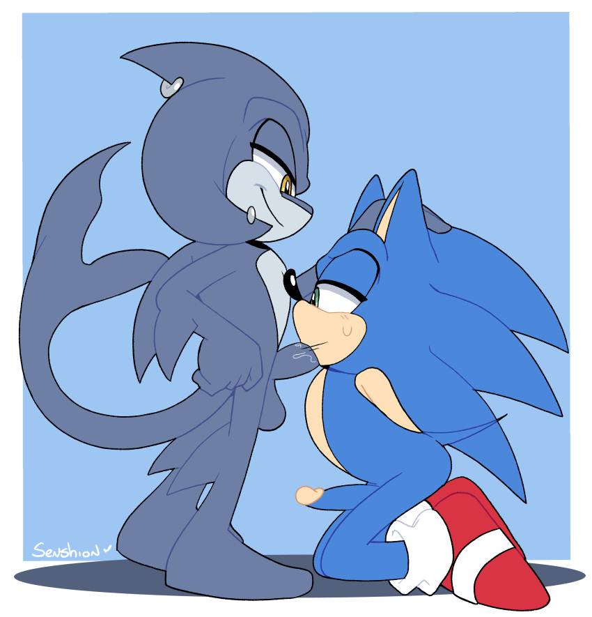 absurd_res anthro balls blue_body clothing duo eulipotyphlan fellatio fin fin_ring fish footwear footwear_only gay genitals hedgehog hi_res kneeling male male/male mammal marine mostly_nude nude oral penile penis razor_the_shark sega senshion sex shark shoes shoes_only smile sonic_(series) sonic_the_hedgehog sonic_the_hedgehog_(archie) sonic_the_hedgehog_(comics) sonic_the_hedgehog_(series) standing yaoi