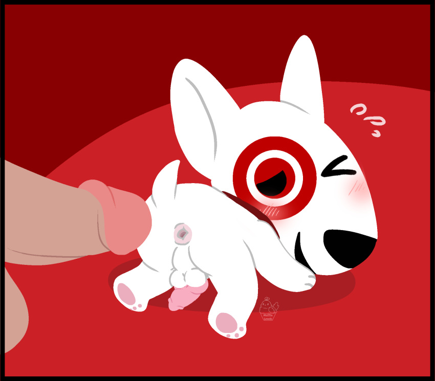 1:1 anthro anus ass balls blush bull_terrier bullseye_(target) canid canine canis digital_drawing_(artwork) digital_media_(artwork) domestic_dog duo erection fur genitals hi_res humanoid_genitalia humanoid_penis hunting_dog imminent_anal imminent_sex looking_at_viewer looking_back male male/male mammal mascot muffinlewds nude offscreen_character on_model one_eye_closed open_mouth penis presenting presenting_hindquarters simple_background smile solo_focus tail target target_corporation terrier white_body white_fur wink