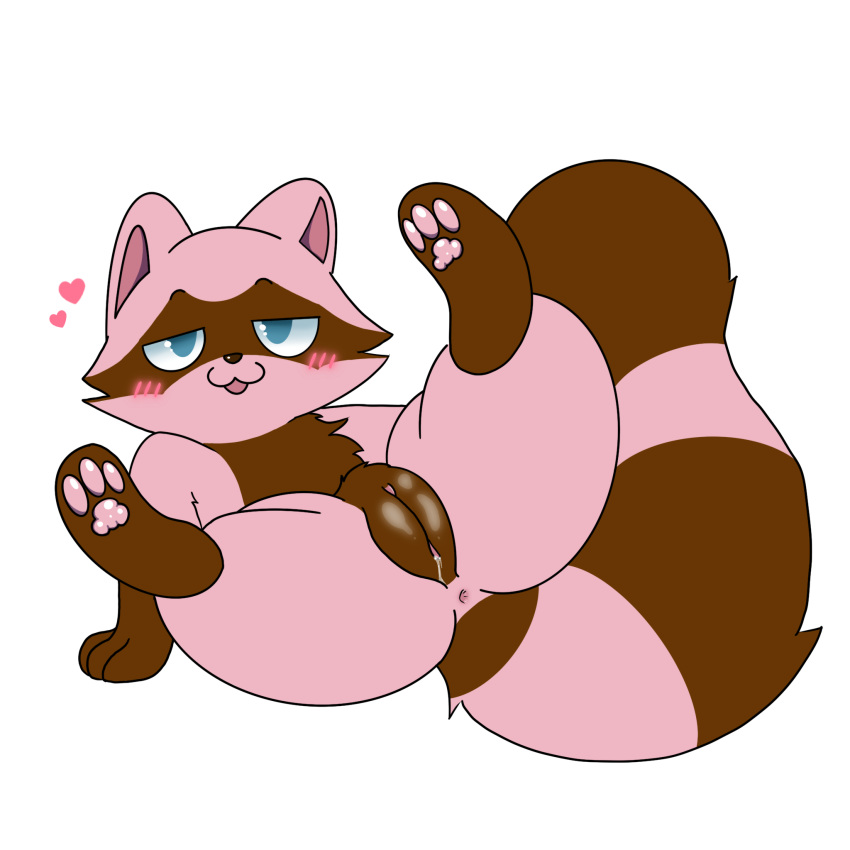 anthro blush female feral genitals hi_res mammal presenting procyonid pussy raccoon skellyroon solo