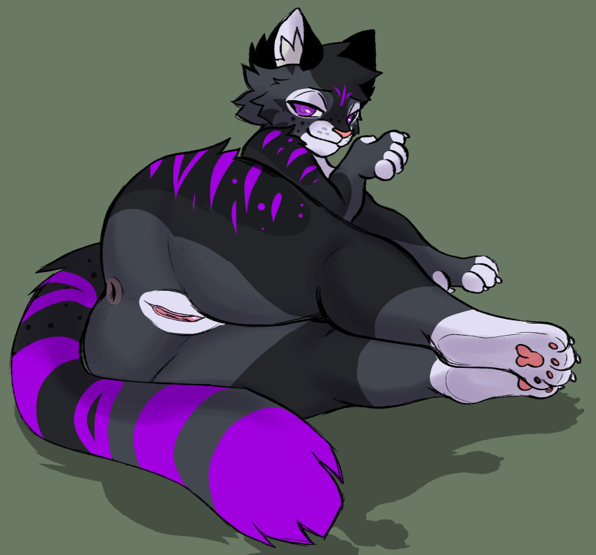 absurd_res anthro anus ass demidevilmitch domestic_cat felid feline felis female fur genitals grey_(greywolf2244) grey_body grey_fur hi_res looking_back mammal paws presenting presenting_hindquarters purple_body purple_eyes purple_fur pussy rear_view solo