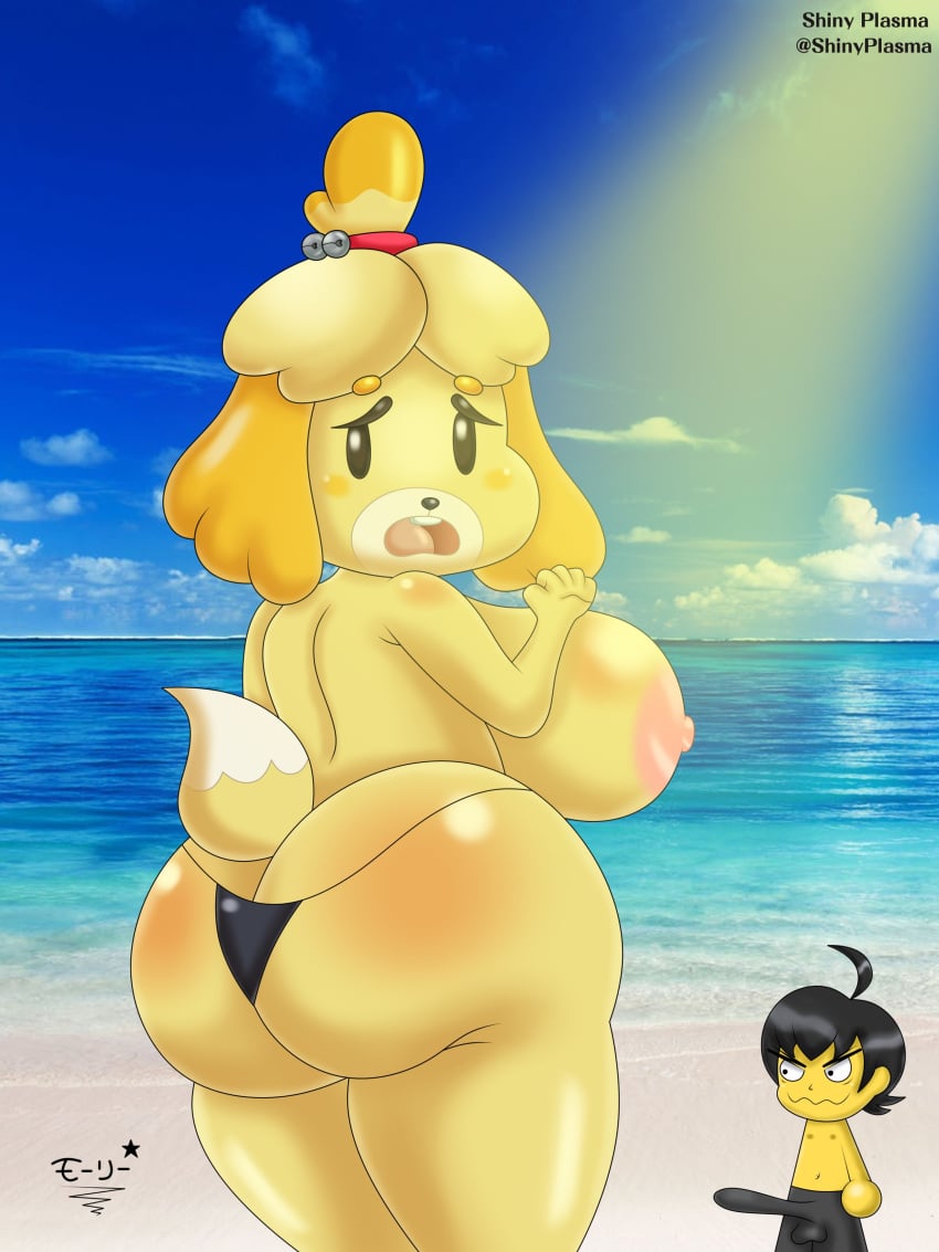 1boy 1girls 2023 2d animal_crossing ass beach big_ass black_hair black_panties black_shorts breasts canine erection erection_under_clothes female hard_on huge_breasts isabelle_(animal_crossing) male nintendo nipples nipples_visible_through_clothing no_bra original_character panties shocked shorts superstarplasma tail topless topless_female