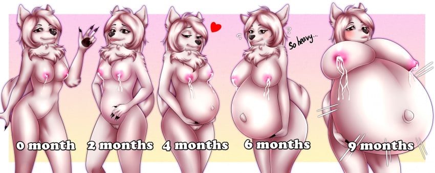 anthro belly bertyborts big_breasts bodily_fluids breasts canid canine canis domestic_dog female genitals growth_sequence hi_res hyper hyper_pregnancy lactating mammal nordic_sled_dog pregnancy_progression pregnant pregnant_female pussy samoyed solo spitz tammy_(tammyweresamoyed)