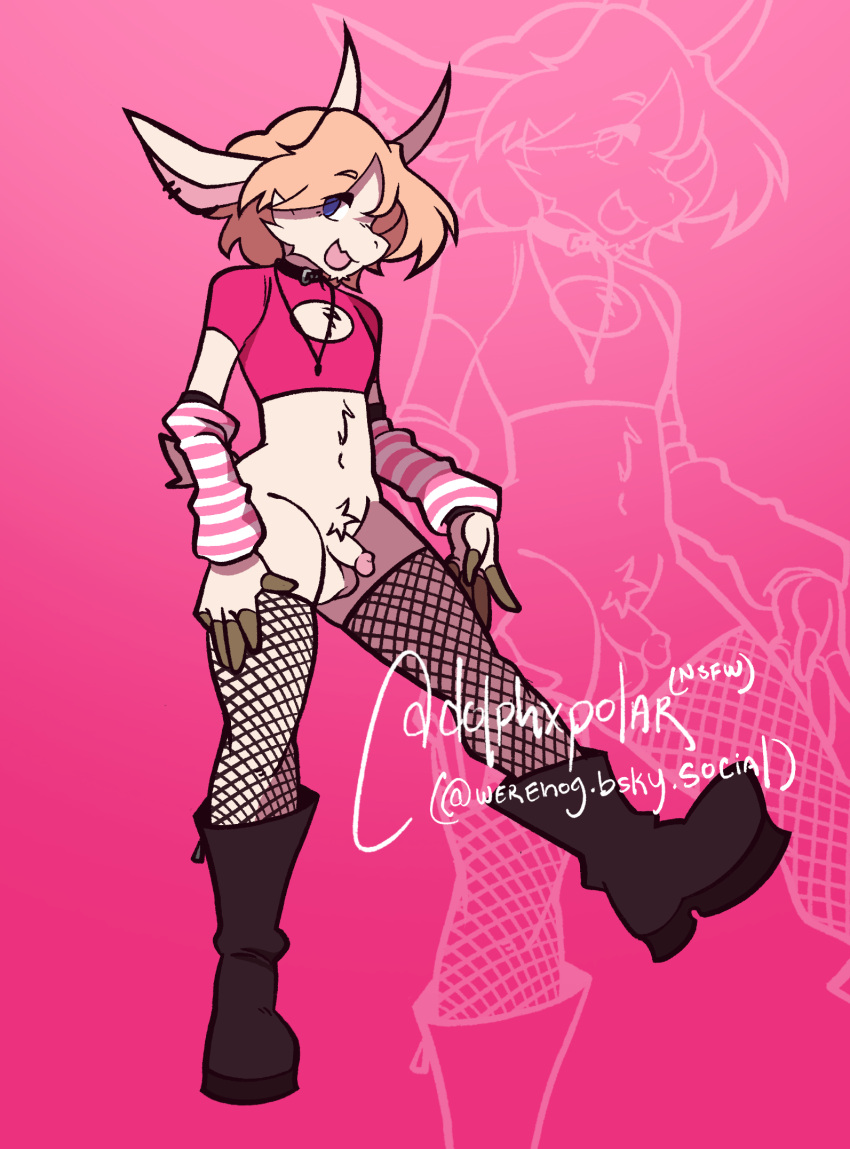 anthro arm_warmers armwear blonde_hair bovid caprine clothing collar crop_top dolphxpolar ear_piercing fishnet fishnet_legwear genitals girly goat hair hi_res legwear male mammal nate_(nategoatboy) penis piercing pink_clothing shirt small_penis solo topwear