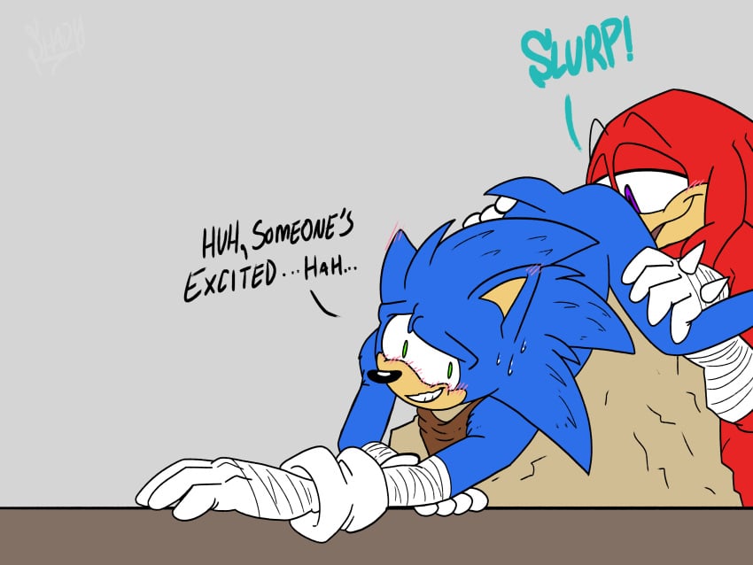 anal anthro ass_up duo echidna eulipotyphlan gay hedgehog hi_res knuckles_the_echidna male male/male male_only mammal monotreme oral rimming rodent sega sex shadydaone sonic_(series) sonic_boom sonic_the_hedgehog sonic_the_hedgehog_(series)