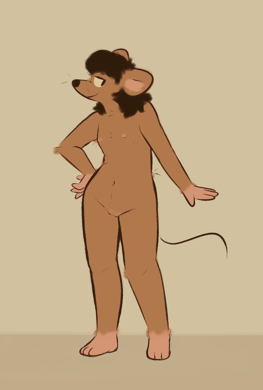 anthro female genitals goopystem_(artist) hand_on_hip hi_res looking_at_viewer mammal mullet murid murine nipples nude olive_(goopystem) pussy rat rodent simple_background smug_face solo standing