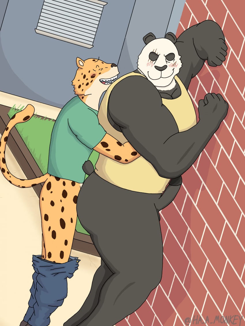 2boys against_surface against_wall anal anal_sex anthro anthro_on_anthro ass barazoku bear beastars big_butt big_muscles blush bottomwear bottomwear_down cheetah clothed clothing duo erection felid feline from_behind_position gay genitals giant_panda gouhin ha_a_monkey hi_res humanoid_genitalia humanoid_penis looking_back male male/male male_only male_penetrated male_penetrating male_penetrating_male mammal muscular muscular_male outdoor_sex outside pants pants_down pantsless partially_clothed pecs penetration penis scar sex shirt size_difference small_dom_big_sub tagme tank_top topwear yaoi