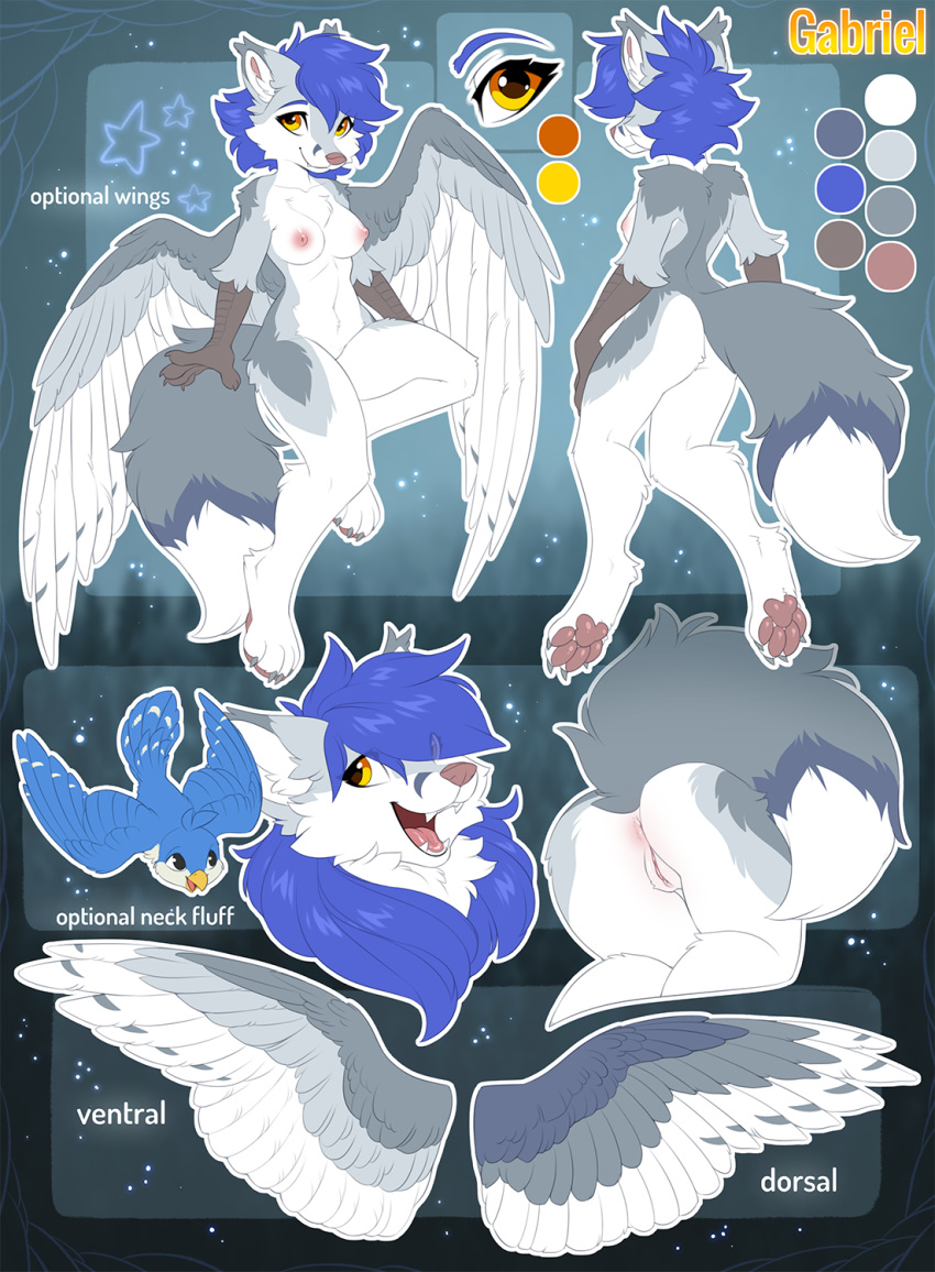 2021 anthro anus avian bird blue_hair breasts canid canine female fluffy fluffy_tail fox fur gabriel_serealia genitals grey_body grey_fur hair hi_res hioshiru mammal model_sheet pussy solo tail white_body white_fur wings yellow_eyes