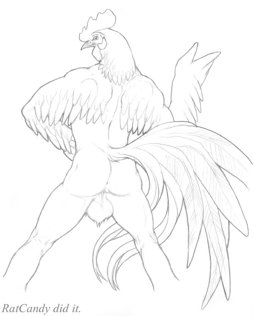 1boy ass avian balls feathers looking_back male male_chicken male_only nude ratcandy sketch solo