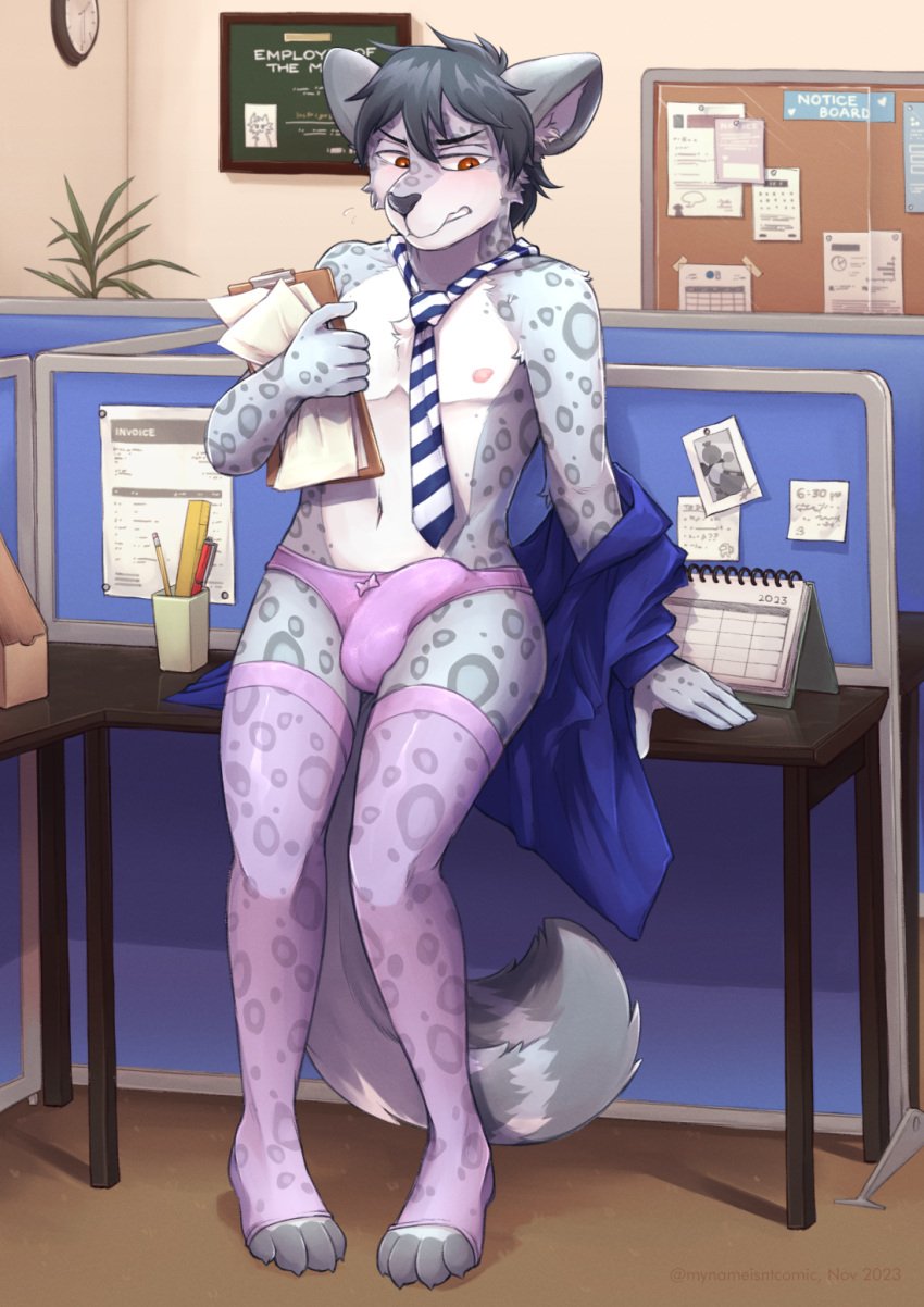 anthro bulge calendar_(object) clothing embarrassed felid flustered hi_res legwear male mammal markings mynameiscomic novus office pantherine panties public snow_leopard solo spots spotted_markings stockings text thigh_highs translucent translucent_clothing underwear workplace