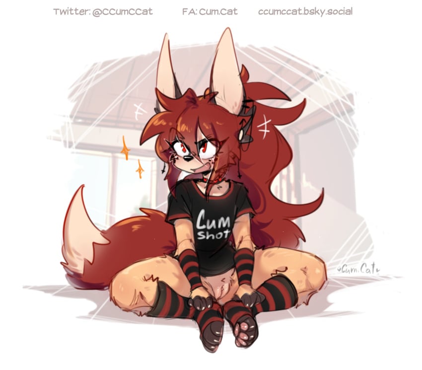 andromorph anthro big_ears big_tail blush blushing bottomless canid canine choker cum.cat cuntboy cute_expression digital_media_(artwork) embarrassed fennec flashing_pussy fox fur genitals graphic_tee hair hair_ornament hi_res intersex legs_apart legs_crossed looking_at_viewer mammal open_mouth penta_(cum.cat) pussy pussy_peek red_eyes red_fur sitting_on_floor smile solo striped_clothing striped_legwear striped_socks tail white_tipped_tail