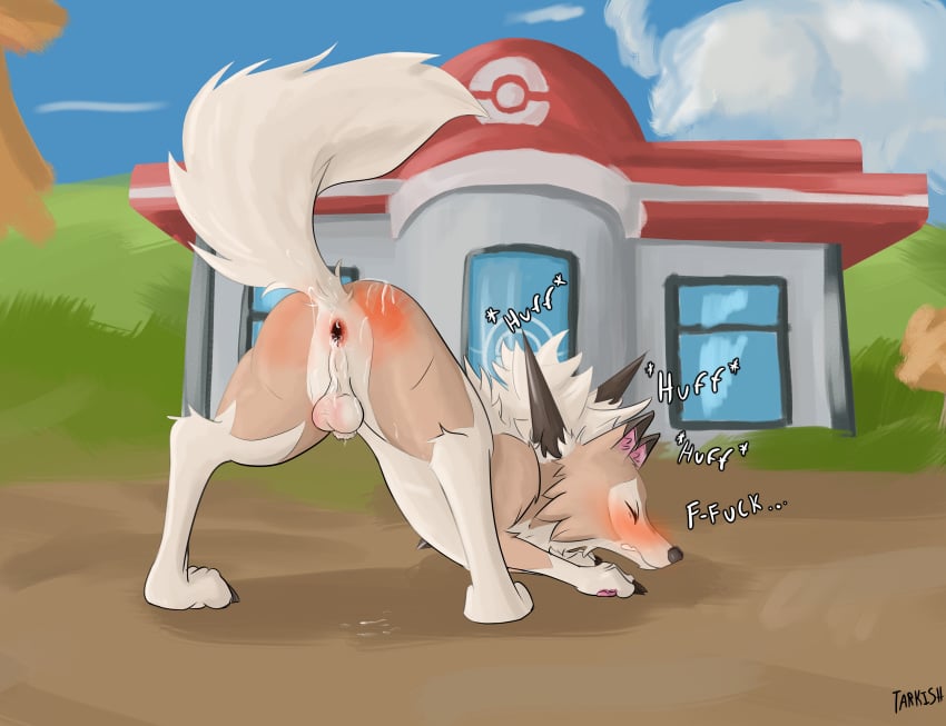 absurd_res animal_genitalia anus ass ass_up balls blue_eyes blush breath butt_slap canid canine canine_genitalia closed_eyes dialogue feral gaping gaping_anus generation_7_pokemon genitals hand_print head_down_ass_up hi_res looking_at_viewer lycanroc male mammal midday_lycanroc nintendo outside panting pokemon pokemon_(species) presenting presenting_anus presenting_hindquarters profanity public public_spanking quadruped raised_tail sheath slap solo spank_marks spank_marks_on_ass spanking tail talking_feral tan_body tarkish white_body