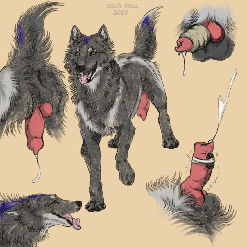 1:1 2023 animal_genitalia animal_penis balls bodily_fluids canid canine canine_genitalia canine_penis canis cum feral genital_fluids genitals hi_res knot male mammal msdeadsoul penis simple_background sketch_page solo wolf zoophilia