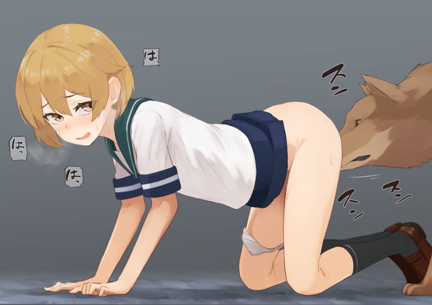 all_fours blonde_hair blue_skirt blue_socks blush brown_eyes brown_footwear canine female grey_background imminent_bestiality kantai_collection loafers looking_at_viewer oboro_(kantai_collection) paid_reward_available panties panties_around_one_leg parted_lips school_uniform serafuku shoes short_hair simple_background skirt socks tsurugi_muda underwear zoophilia