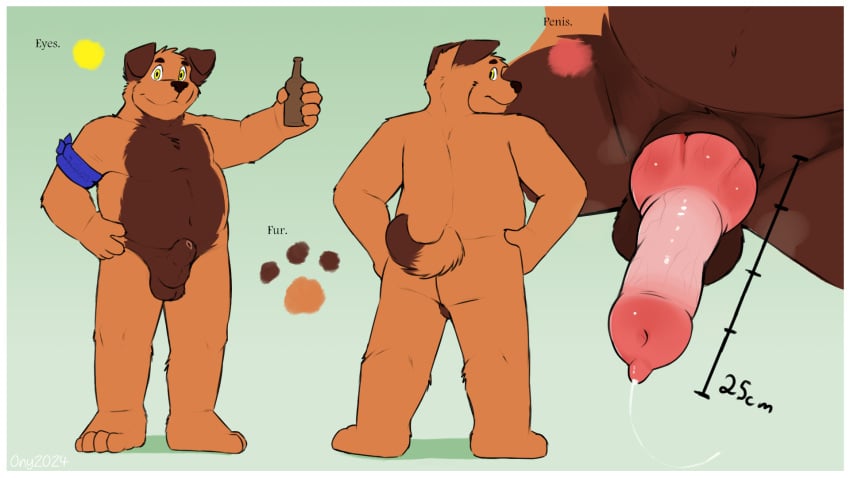 alcohol animal_genitalia animal_penis anthro beer beverage canid canine_genitalia canine_penis comparing genitals hi_res knot male male_only mammal model_sheet nude onykr penis pinup pose presenting sheath solo tom_(onykr)