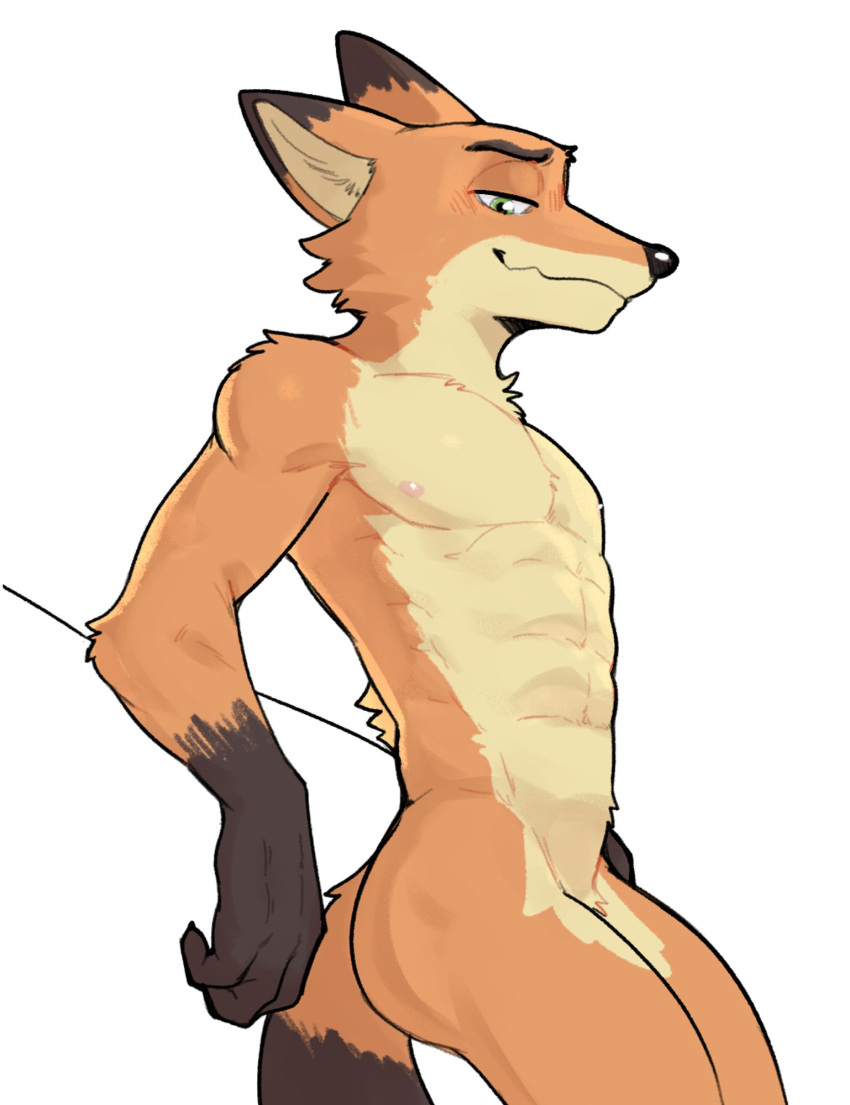 2024 abs anthro bedroom_eyes canid canine claws disney eyebrows fox fur hi_res jrjresq looking_at_viewer male male_only mammal muscular muscular_anthro muscular_male narrowed_eyes nick_wilde nipples nude pecs red_fox seductive simple_background smile solo standing true_fox tuft white_background zootopia