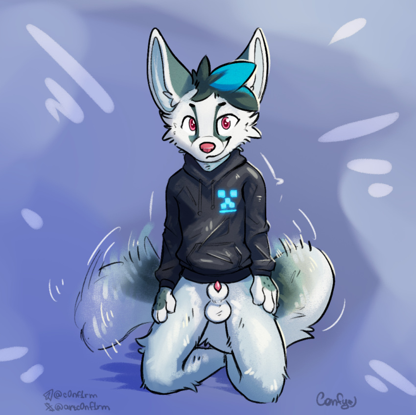 animal_genitalia anthro balls bottomless canid canine canine_genitalia clothed clothing cuteconfy fennec_fox fox genitals hoodie hoodie_only looking_at_viewer male male_only mammal sheath solo tail tail_motion tailwag topwear topwear_only true_fox