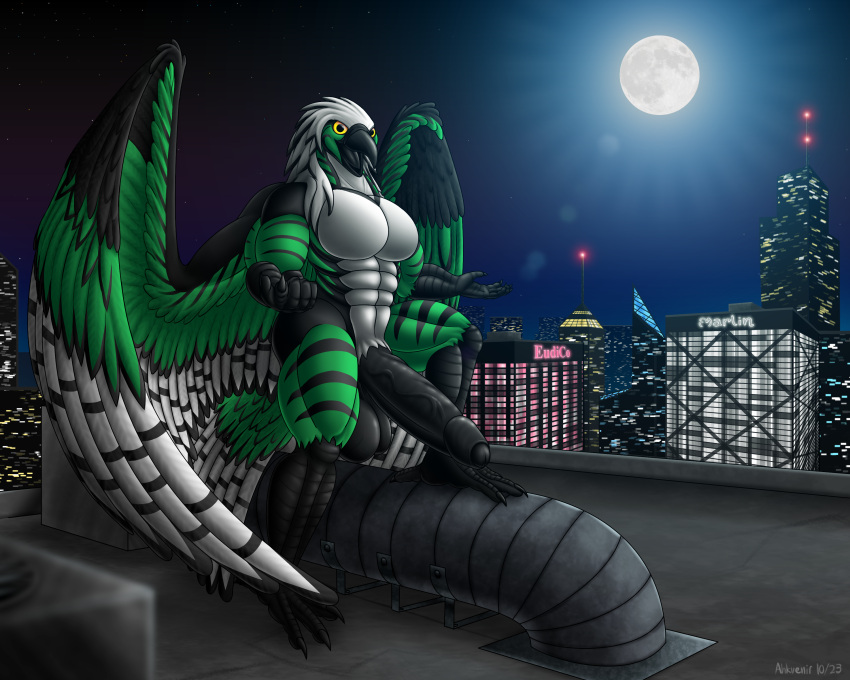 5_fingers abs absurd_res accipitrid accipitriform ahkvenir anthro avian avian_feet balls beak beckoning big_balls big_penis bird city cityscape eagle feathered_wings feathers fingers genitals gesture hi_res huge_cock looking_at_viewer male moon muscular muscular_male night nude outside pecs penis solo vein veiny_penis wings