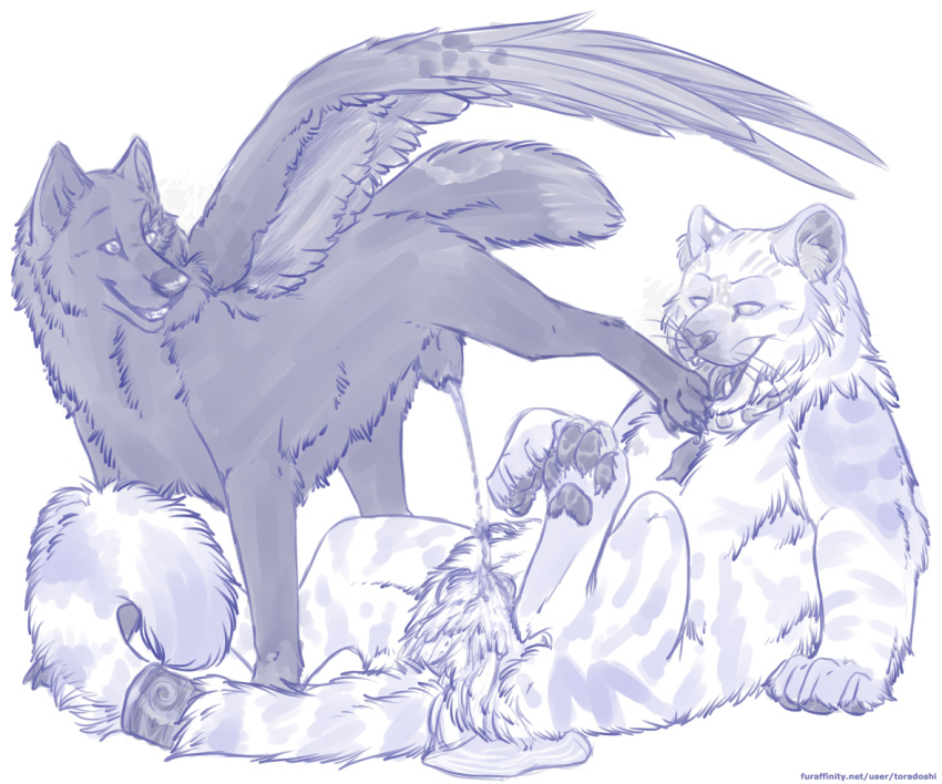 Animal Genitalia Rule 34 Image